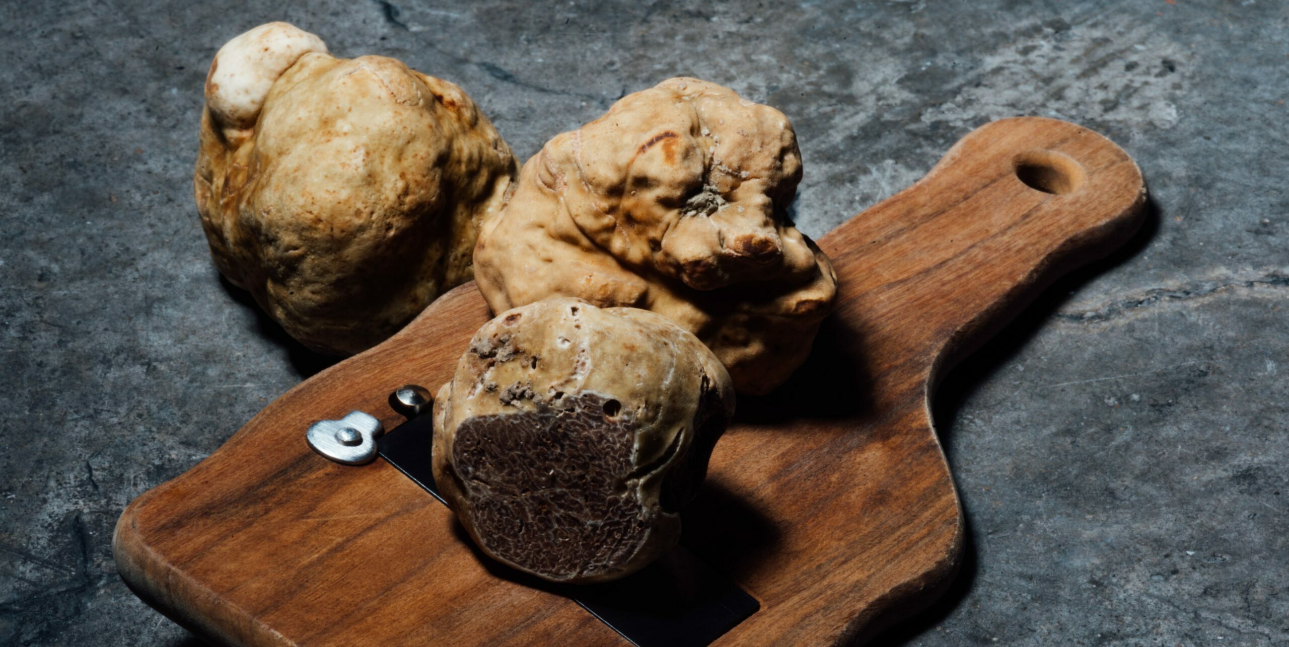 truffes