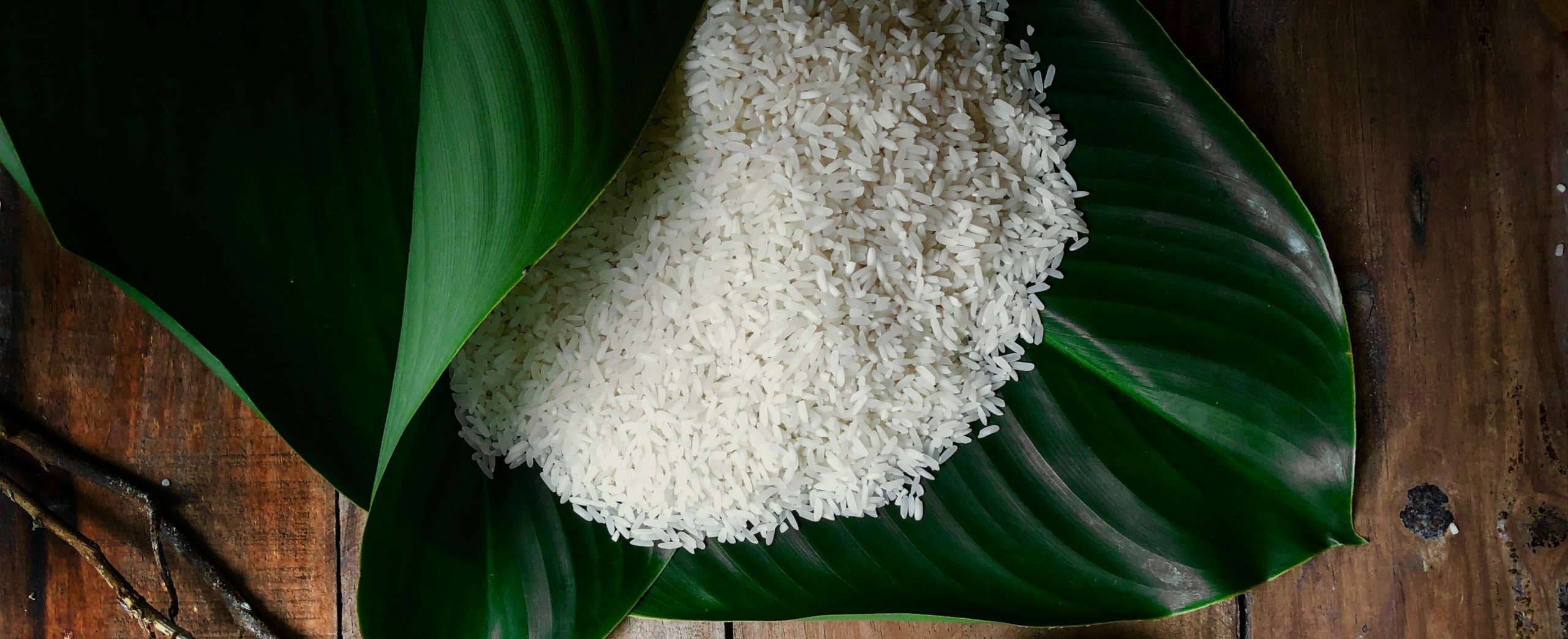 riz feuilles