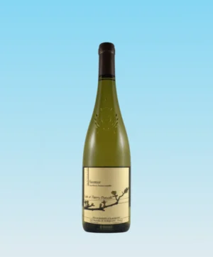 Saumur Blanc - Domaine de Chancelle